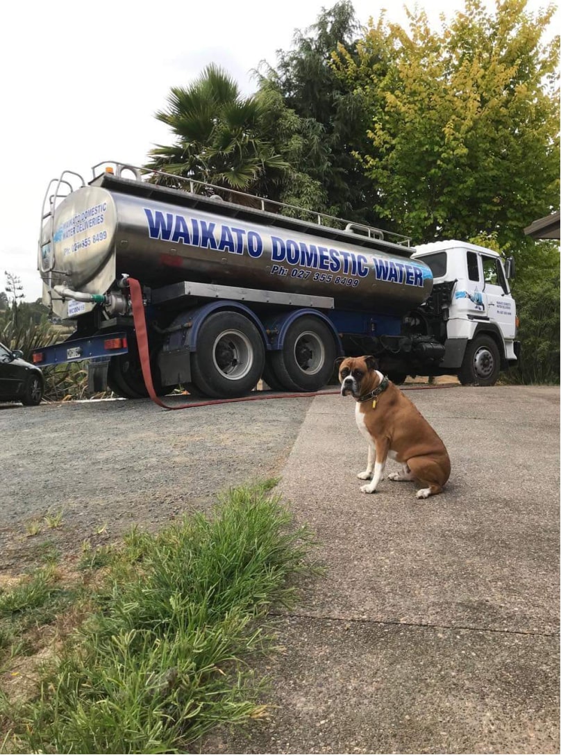 Water Being Delivered to Residential House on Driveway with Dog